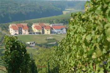 Hotel Becksteiner Rebenhof