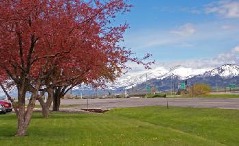 Holiday Inn BOZEMAN