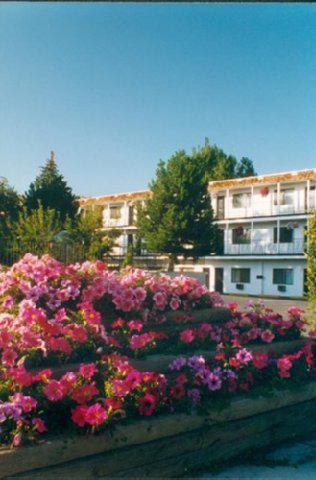 Rimview Inn