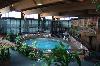 BEST WESTERN Chickasha
