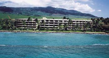 Aston Paki Maui