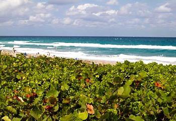 Fairfield Inn & Suites Boca Raton