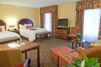 Hampton Inn  Suites MobileDwtn Hi