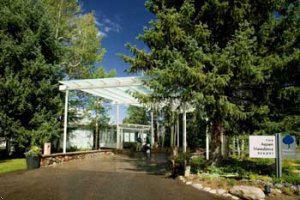 Aspen Meadows