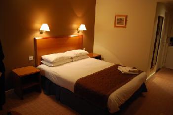 Sporting Lodge Middlesbrough