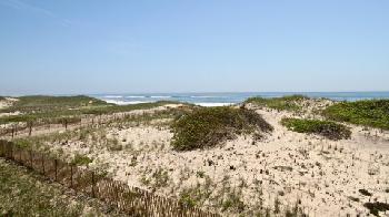 Windward Shores