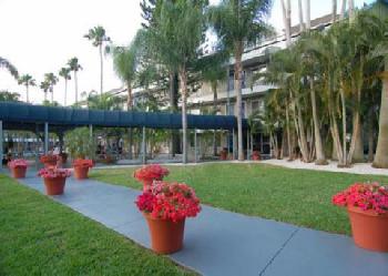 Sarasota Suites