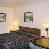 Colony Lodge Pine Grove