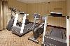 Holiday Inn Express Hotel & Suites LEXINGTON-HWY 378