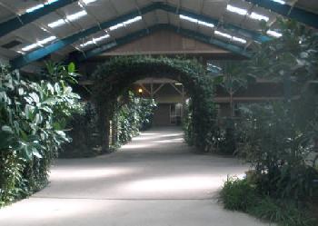 Rodeway Inn Cow Palace