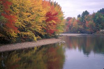 Merrill Farm Resort