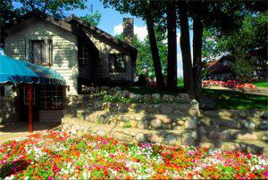 Marsh Ridge Resort