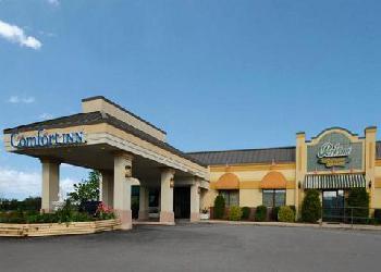 Comfort Inn Mill Hall
