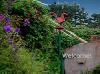 Bodega Bay Inn