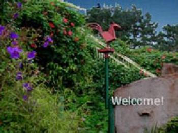 Bodega Bay Inn