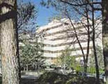Civitas Torremangana