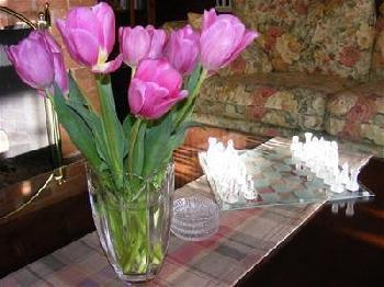 Gilbert Inn