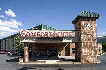 Comfort Suites University
