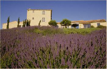 Domaine De Capelongue