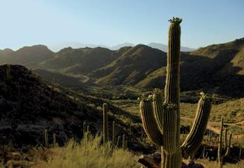 The Ritz-Carlton, Dove Mountain