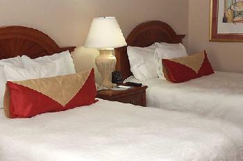 Hilton Garden Inn Detroit Metro Airport
