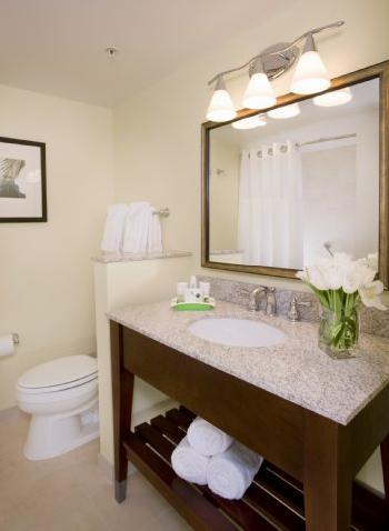 Holiday Inn LAKE BUENA VISTA DOWNTOWN
