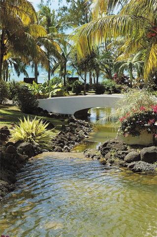 Casuarina Resort and Spa