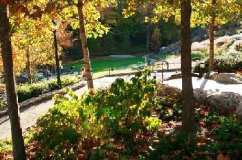 Hampton InnHaywood Rd Greenville SC