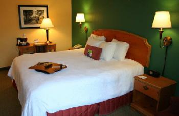 Hampton Inn  Suites WilliamsburgRichmond Rd