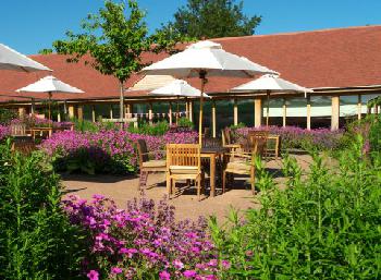 The Elms Hotel