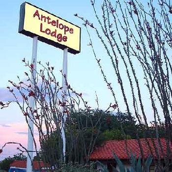 Antelope Lodge Alpine