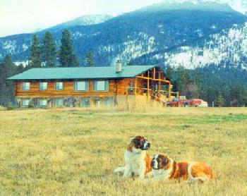 Twin Creeks Bed and Breakfast