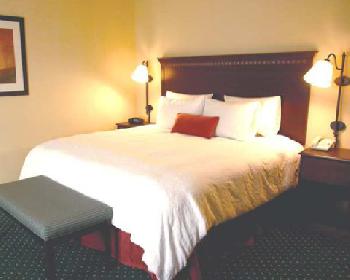 Hampton Inn  Suites  Mansfield TX