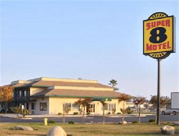 Super 8  Lindsay Olive Tree