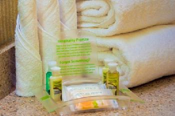 Holiday Inn Hotel & Suites WILLIAMSBURG-HISTORIC GATEWAY