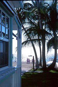 Pines and Palms Resort