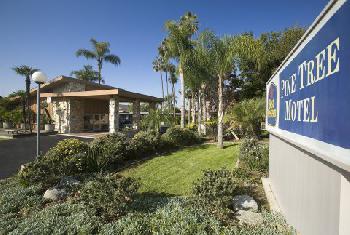 BEST WESTERN Pine Tree Motel