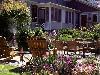 Iris Inn
