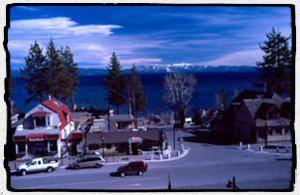 PEPPER TREE INN