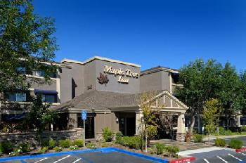 Maple Tree Inn
