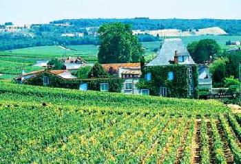 Les Paulands Chateaux Et Hotels Collection