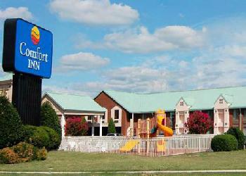 Comfort Inn Petersburg