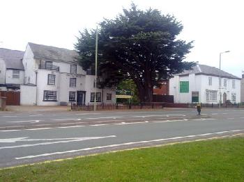 Cedar Tree Hotel