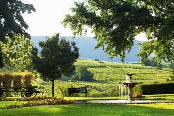 Chateau d Isenbourg