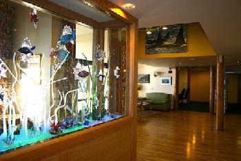 BEST WESTERN PLUS Friday Harbor Suites