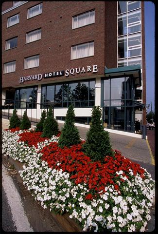 Harvard Square