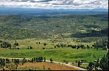 Big Creek Meadow Ranch