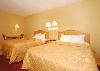 Comfort Inn & Suites Airport Camp Creek