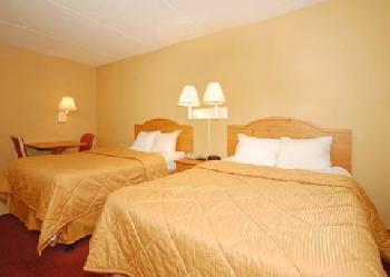 Comfort Inn & Suites Airport Camp Creek