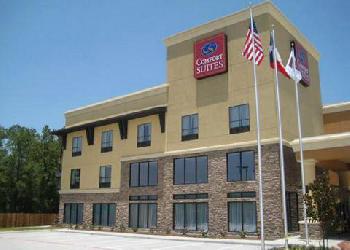 Comfort Suites Spring